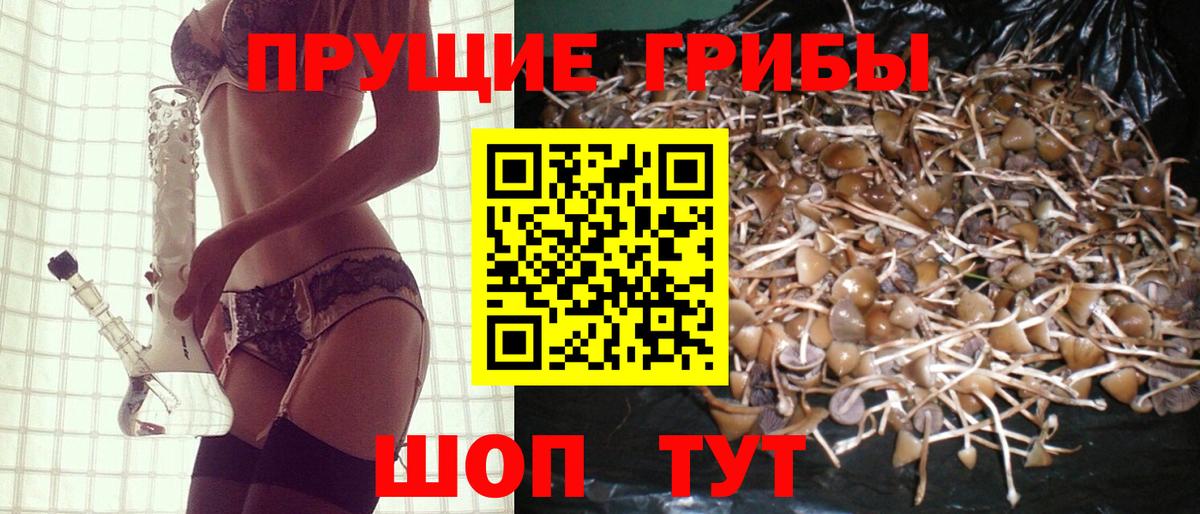 Галлюциногенные грибы мицелий Ростов Великий